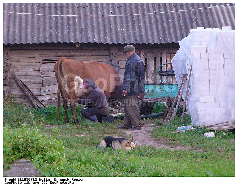 �����, �������� �������