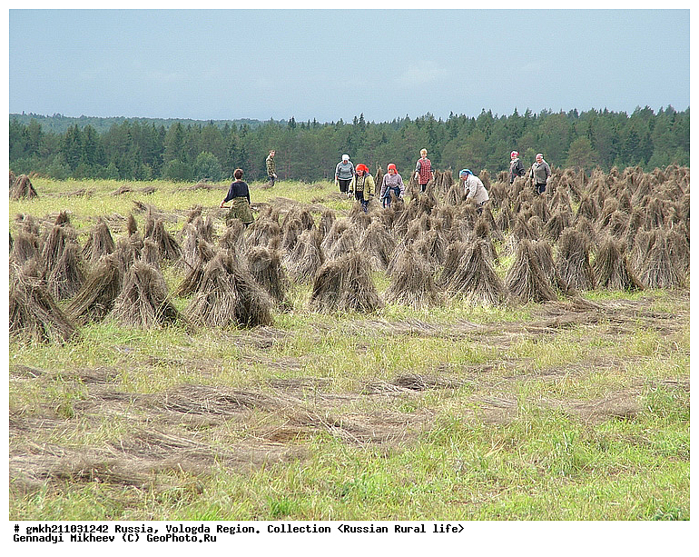 ����������, ����������� �������, ���, �������, ������ ����, �����