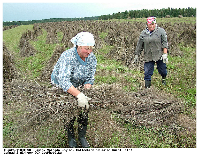 ����������, ����������� �������, ���, �������, ������ ����, �����