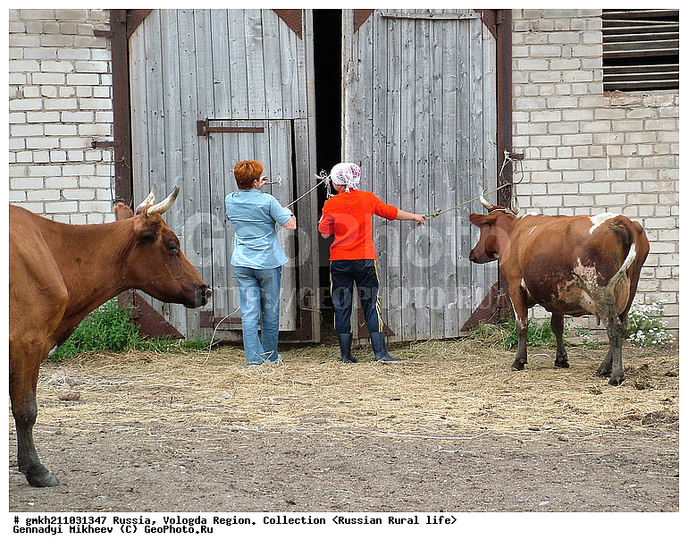  �������, ����������� �������, ���������, �������� �������, ����� �����, ����, ������, ������ ��������, ���������� �������