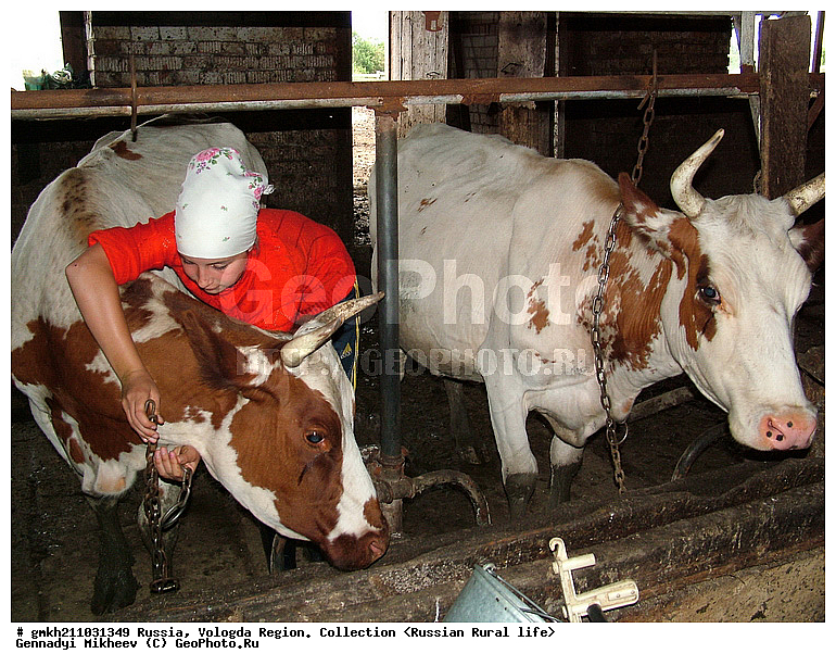  �������, ����������� �������, ���������, �������� �������, ����� �����, ����, ������, ������ ��������, ���������� �������, ���� � �������, ���������, ���� � ���������, �������� �����, ����� ����