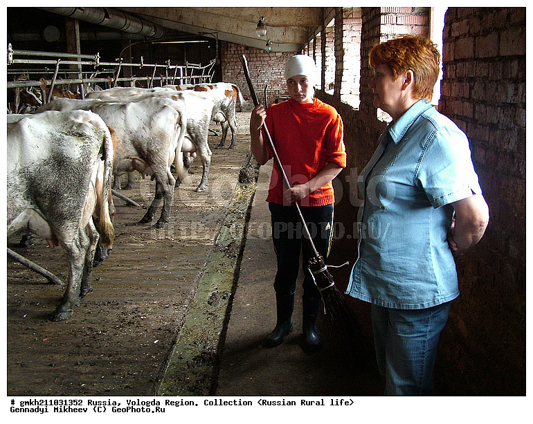  �������, ����������� �������, ���������, �������� �������, ����� �����, ����, ������, ������ ��������, ���������� �������