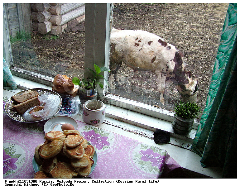  �������, ����������� �������, ���������, �������� �������, ����� �����, ����, ������, ������ ��������, ���������� �������