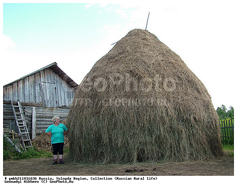 ������, ����������� �������, ����������� �����, ���������, �������� �������, ����� �����, �������, ����, ����������� �����