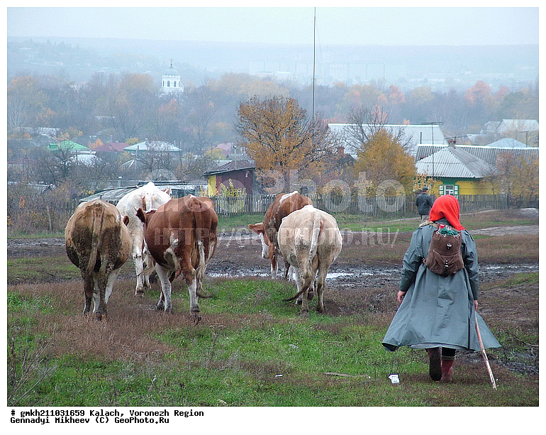 �����, ����������� �������, ���� � �������, ���������, ���� � ���������, �������� �����, ����� ����