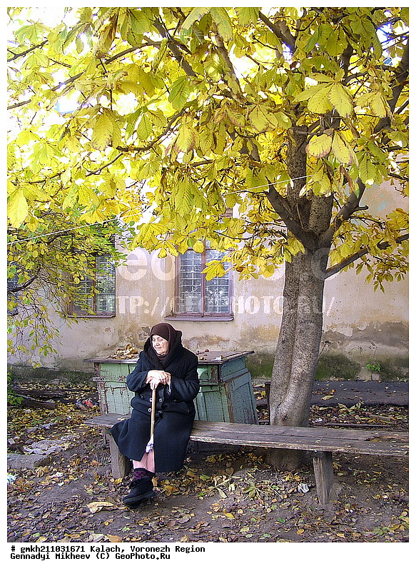 �����, ����������� �������, ���� � �������, ���������, ���� � ���������, �������� �����, ����� ����