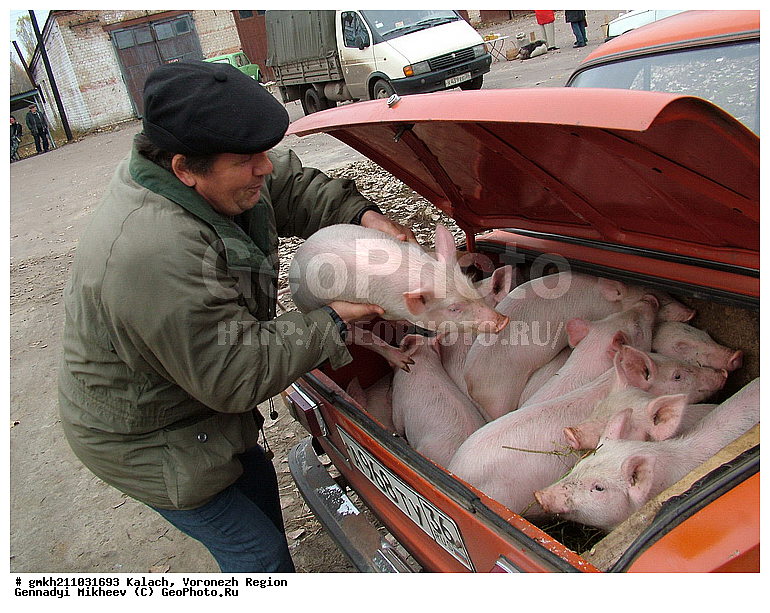 �����, ����������� �������