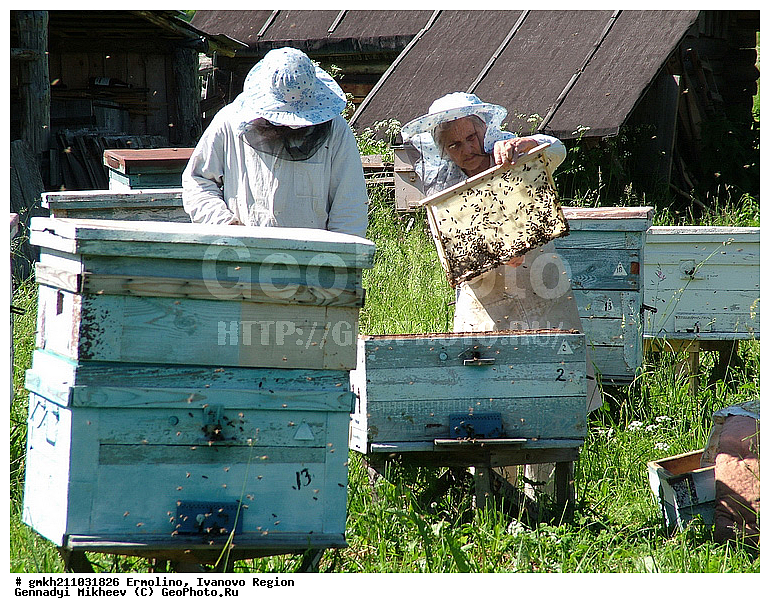 ����������� �������, ��������, ���������� �������