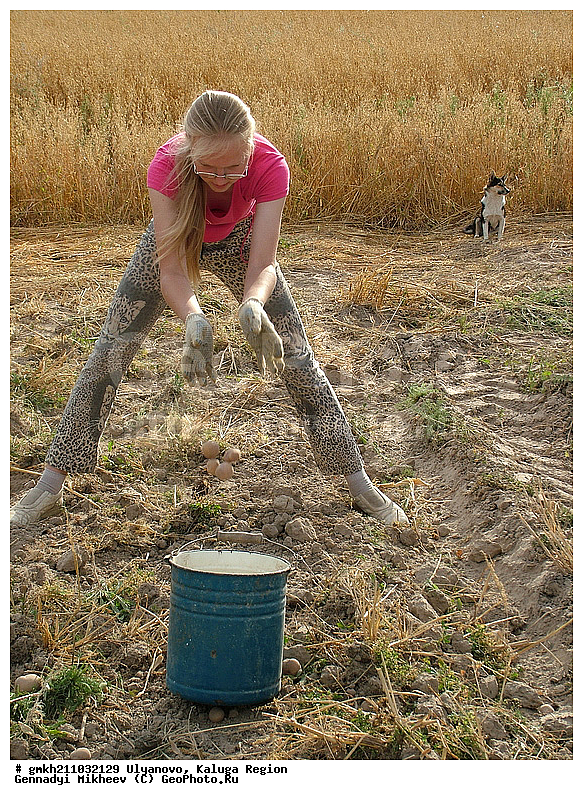 ��������, ��������� �������, ���� � �������, ���������, ���� � ���������, �������� �����, ����� ����