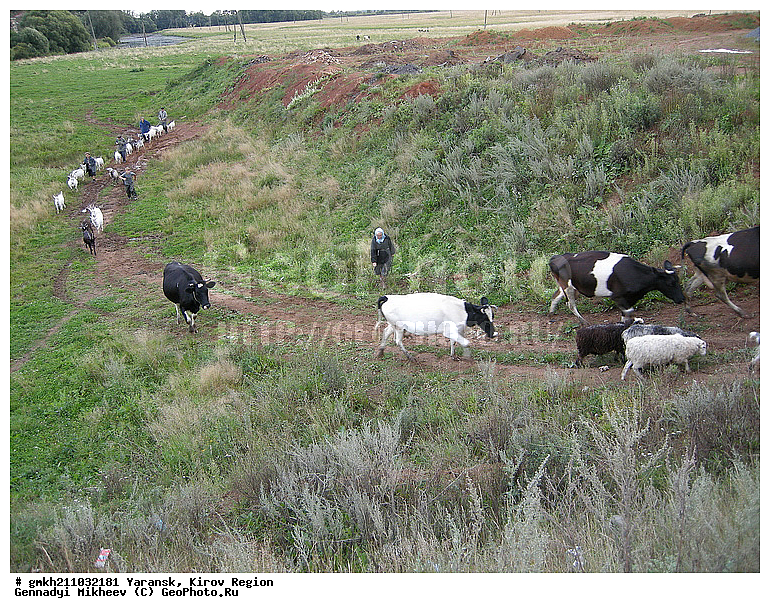 ������, ��������� �������