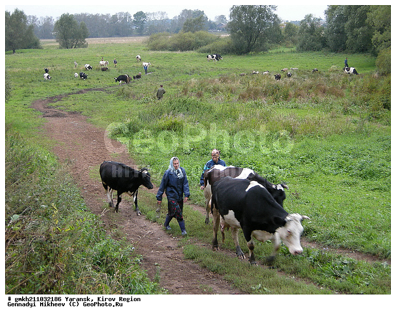 ������, ��������� �������