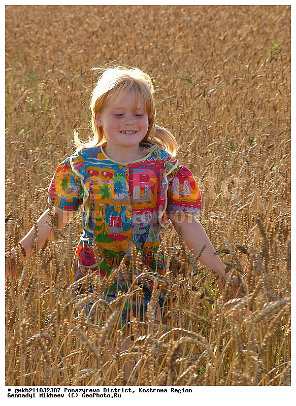 ������������� �����, ����������� �������