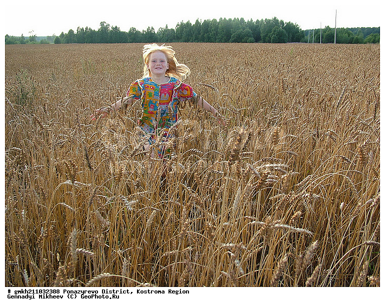 ������������� �����, ����������� �������