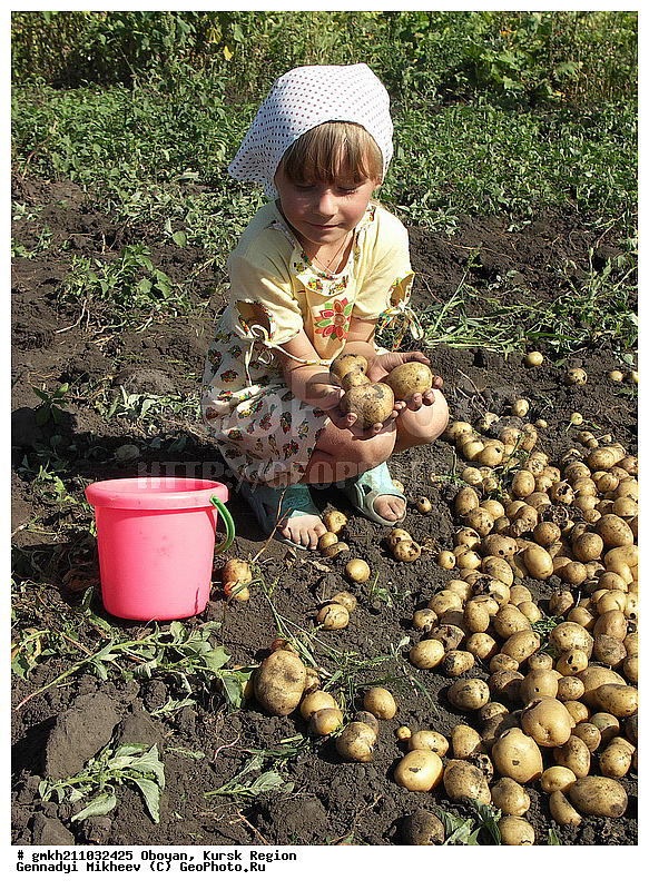 ������, ������� �������