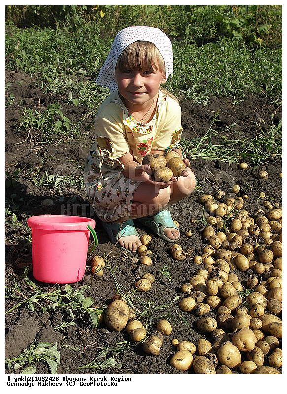 ������, ������� �������