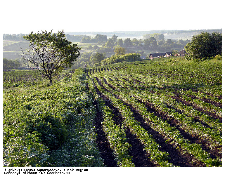 ����������, ������� �������