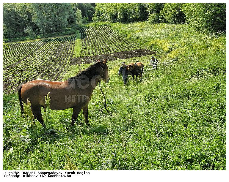 ����������, ������� �������