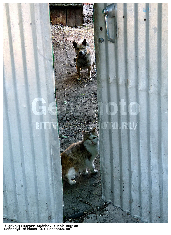 �����, ������� �������, ���� � �������, ���������, ���� � ���������, �������� �����, ����� ����