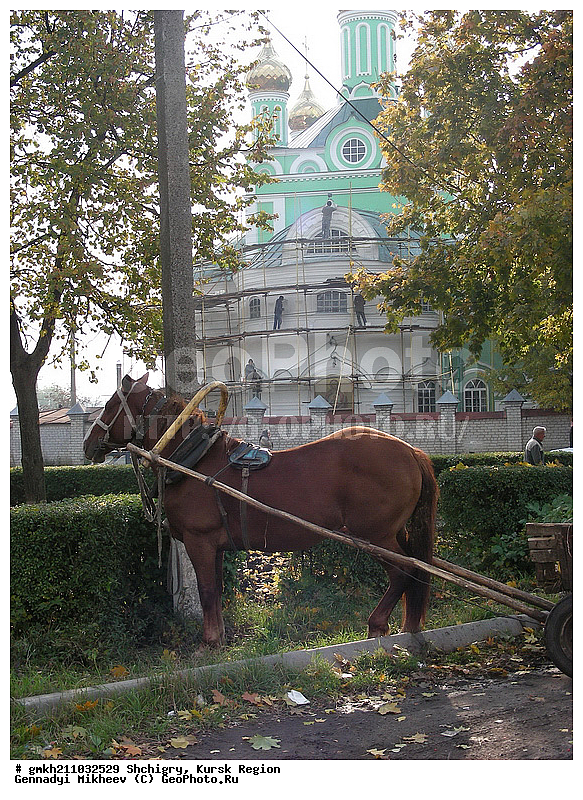 �����, ������� �������