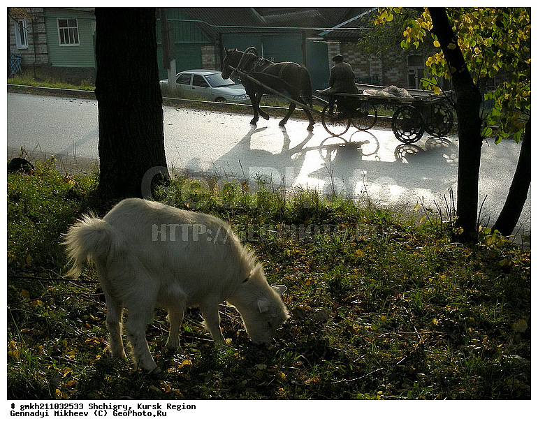 �����, ������� �������, ���� � �������, ���������, ���� � ���������, �������� �����, ����� ����