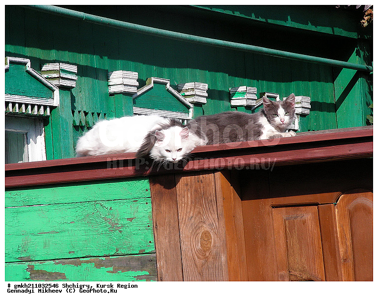 �����, ������� �������