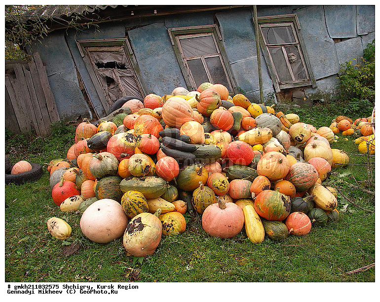 �����, ������� �������, ���� � �������, ���������, ���� � ���������, �������� �����, ����� ����