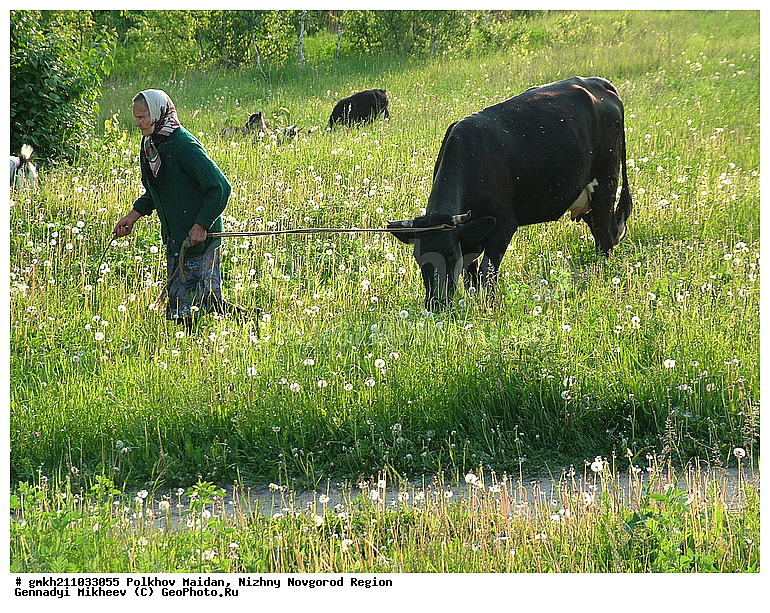 ������ ������, ������������� �������