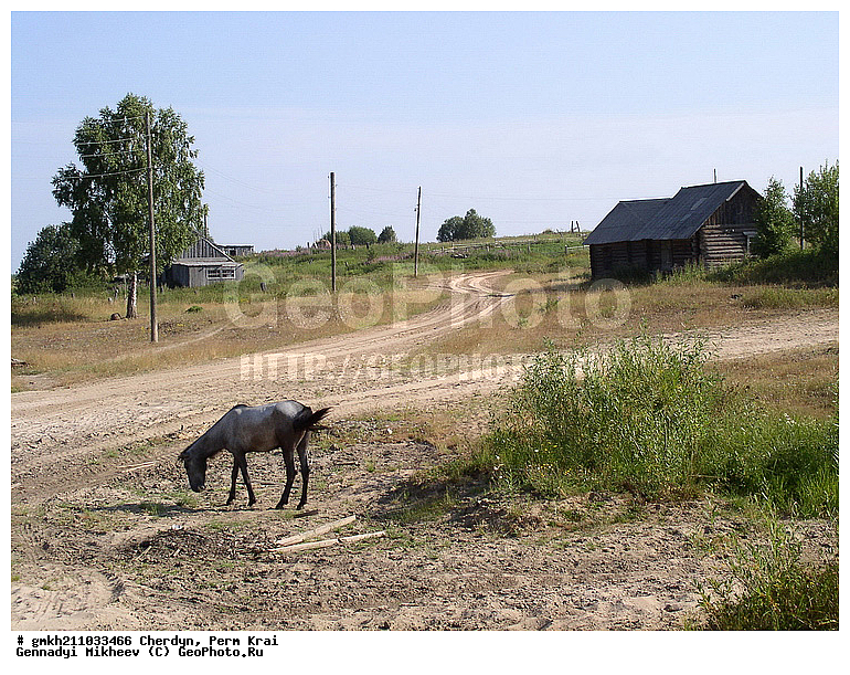 �������, �������� ����