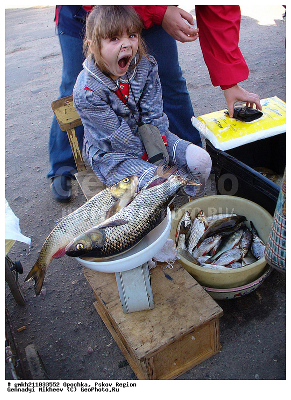 ������, ��������� �������