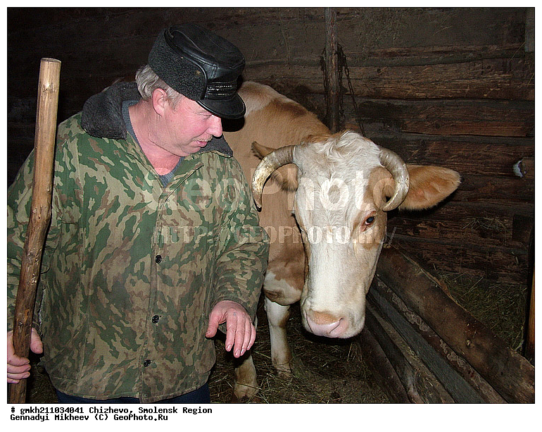 ������, ������, ���������� �������, ������ ���������