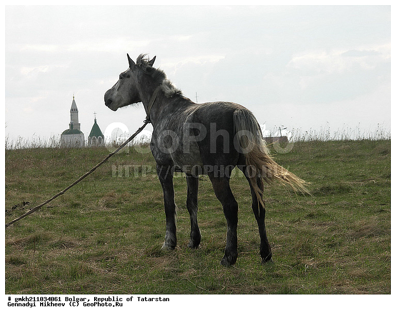 ������, ���������� ���������, ���������