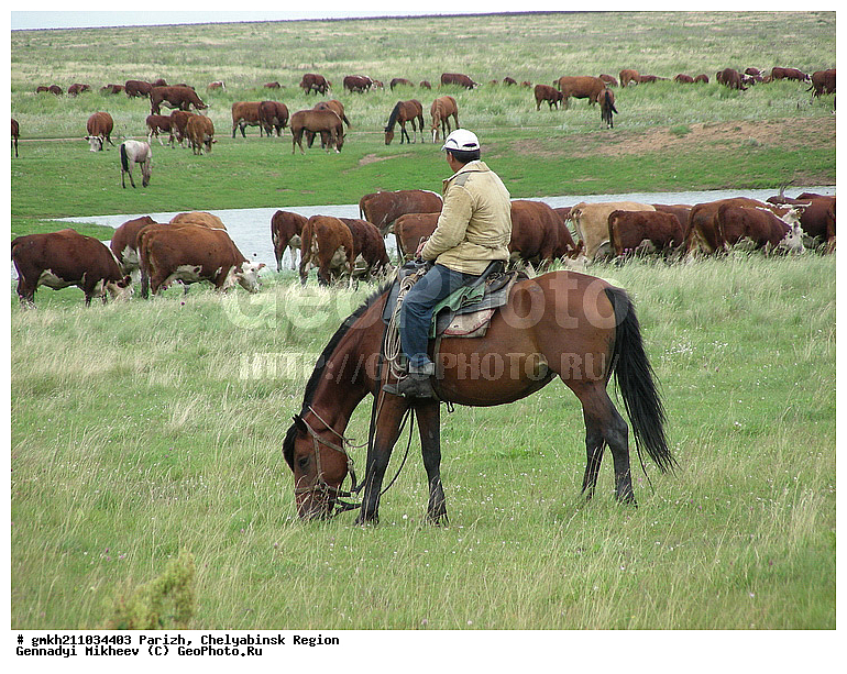 �����, ����, ����������� �������