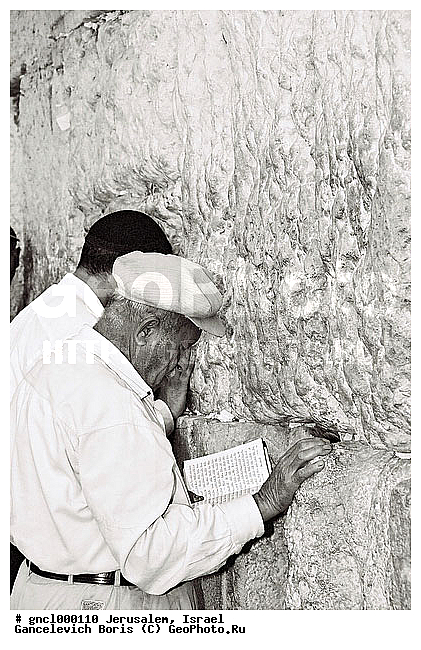 ���������, �������, ����, �������, �����