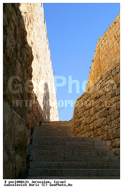 ���������, ��������, ����, ������ �����