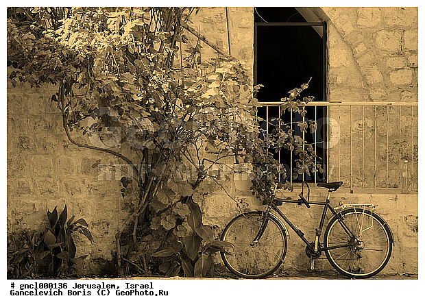 ���������, ���������, ������, �����