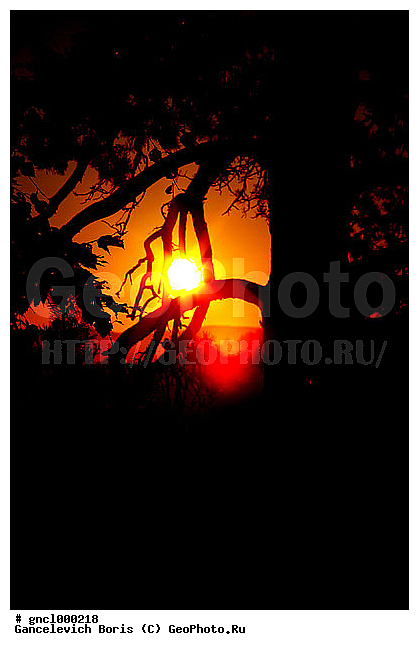 ������, ������, ������, �����, ������