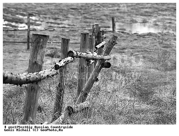 ������, ���������