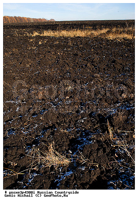 ������, ���������