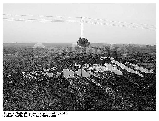 ������, ���������