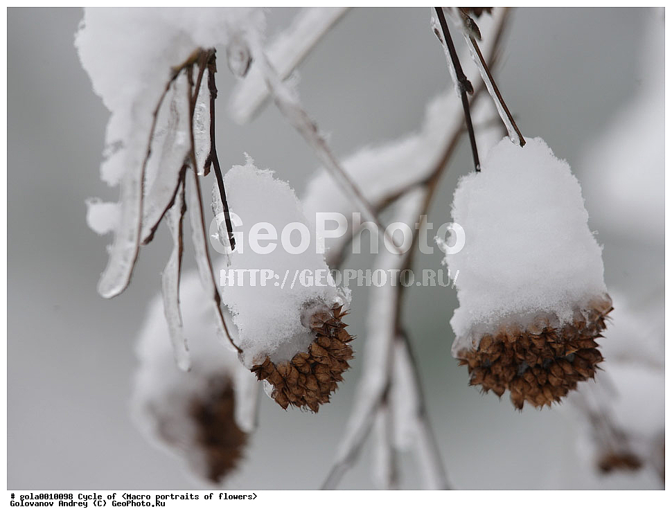  �����, �����, ����������, ��������, ������������ ��������,  �����, ������, ����, ��������