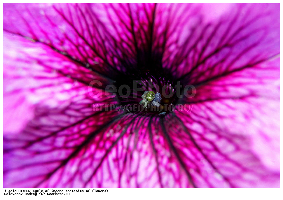  �����, �����, ����������, ��������, ������������ ��������,  �����, ������, ����, ��������