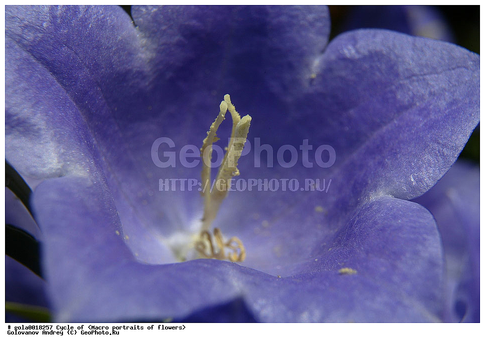  �����, �����, ����������, ��������, ������������ ��������,  �����, ������, ����, ��������