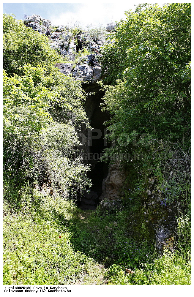 ������, �������