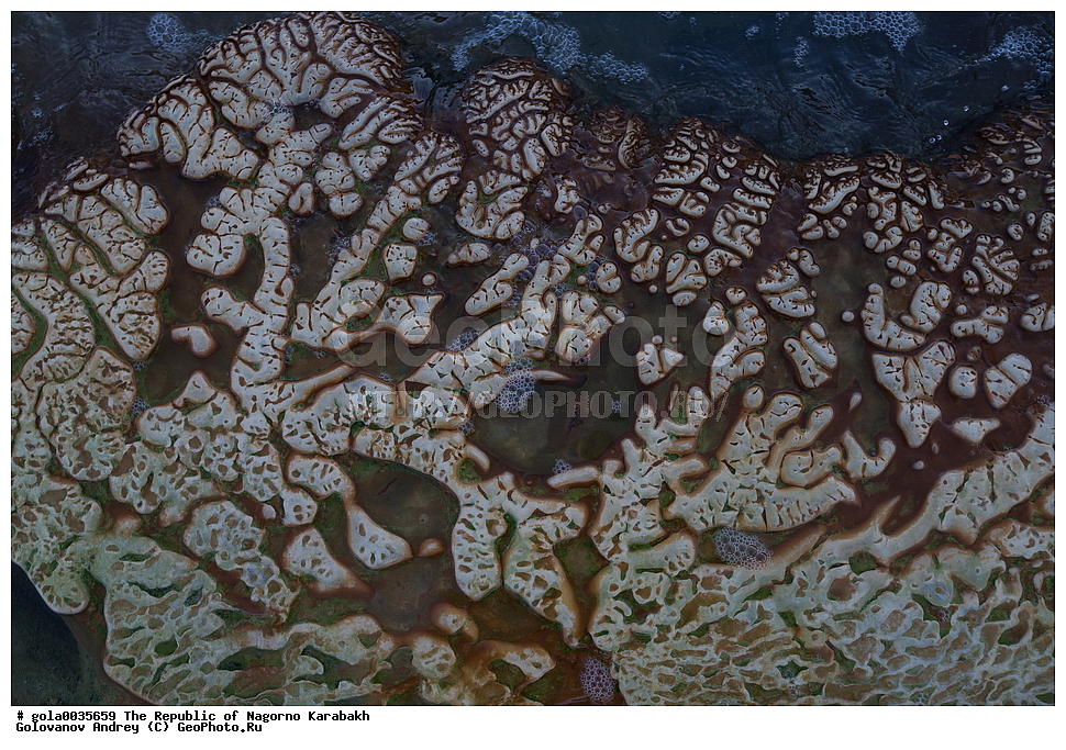 �������, ��������, ����������, ����������