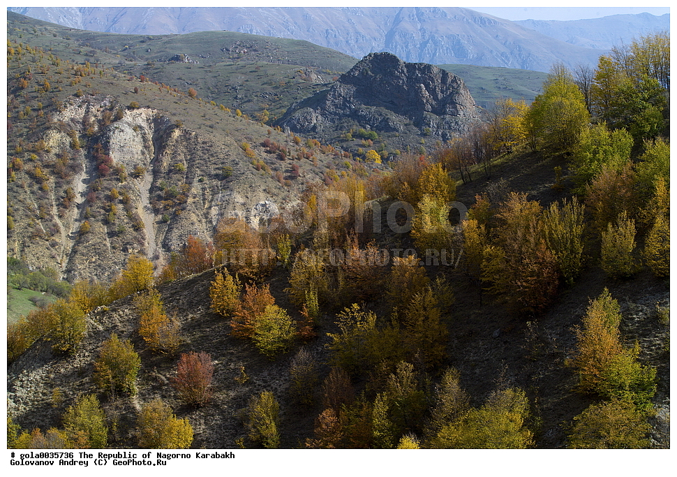 �������, ��������, ����������