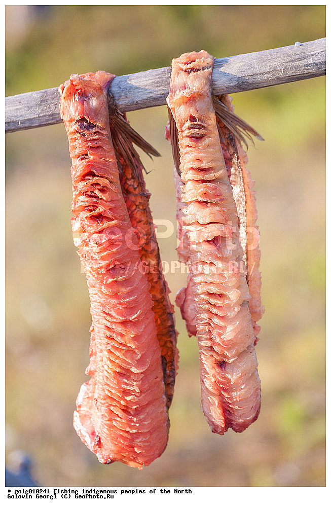 ����� ����, ����, �������� �����, �����, ��������� �����, �������, ������, ����, ����