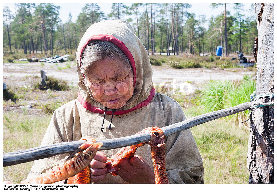 ����, �����-�������� ���������� �����, ����, �������������� ����������, �����, �������� �������, ������������ ������, ������������ ����� �����, ��������, ���, ����, ������