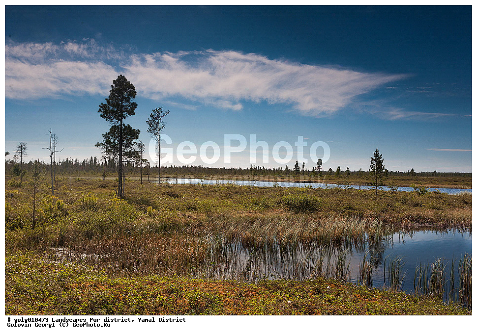 �������, ����, ��������� �����, ������, ����-������, ����� ����, �����, ����, �������, �����