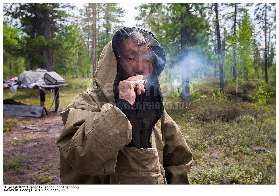 ����, �����-�������� ���������� �����, ����, �������������� ����������, �����, �������� �������, ������������ ������, ������������ ����� �����, ��������, ���, ����, ������