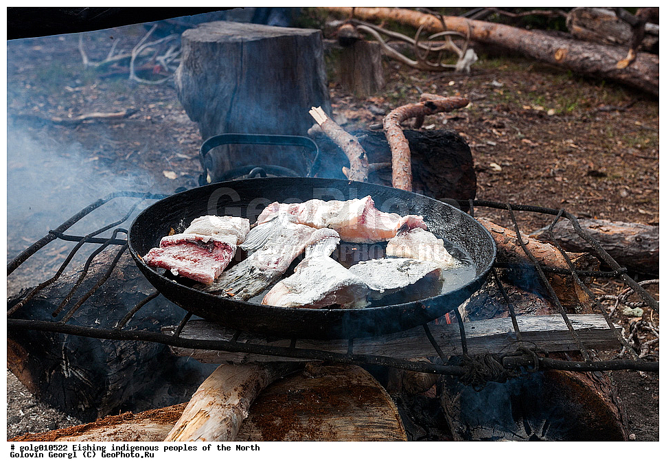 ����� ����, ����, �������� �����, �����, ��������� �����